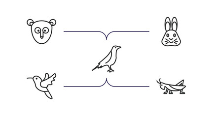 animals outline icons set. thin line icons such as philippine tarsier, hare, raven, humming bird, grasshopper vector.