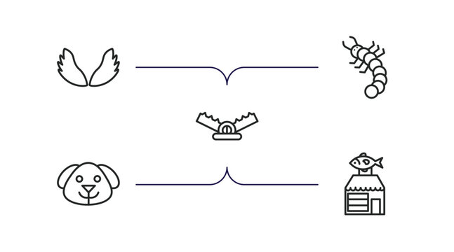 animals outline icons set. thin line icons such as wing, grub, trap, dog head, fish shop vector.