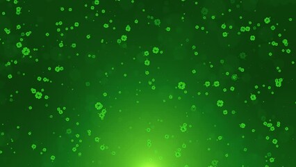 ST Patrick's day Leaf clover flying for projects relates to Saint Patrick's Day events and greetings. irish tradition celebration motion. shamrock holiday. pub party greeting holiday design