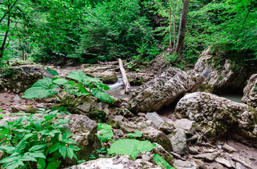 landscape mountain river and rocks with green tropical plants in thailand