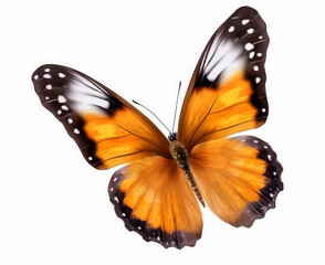 Fototapeta premium Very beautiful yellow orange butterfly in flight isolated on a transparent background, Generative AI