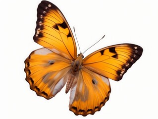Very beautiful yellow orange butterfly in flight isolated on a transparent background, Generative AI