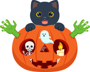 Cute black kitten sitting on Halloween zombie pumpkin. with skeletons and candles inside