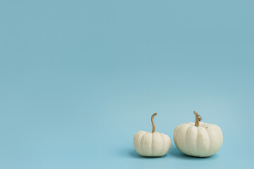 Small decorative pumpkins on light blue background. Autumn, fall, thanksgiving or halloween concept. Copy space