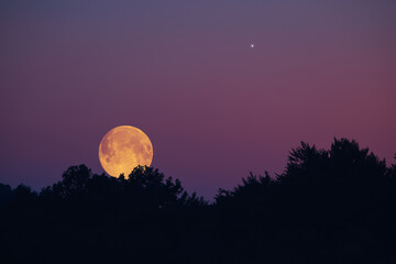 Fototapeta na wymiar Full Moon, star and landscape scenery silhouettes.
