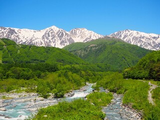 新緑の森と残雪の北アルプス