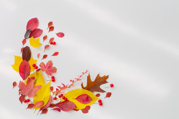 autumn red and yellow leaves on white background