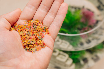 Man holds Food for aquarium Fish in palm of his hand. Concept of feeding, caring for pets. Photo Top view © D-point