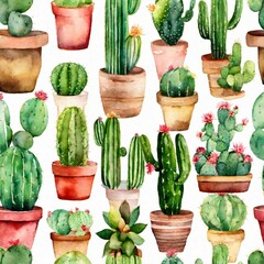 collection of cactus