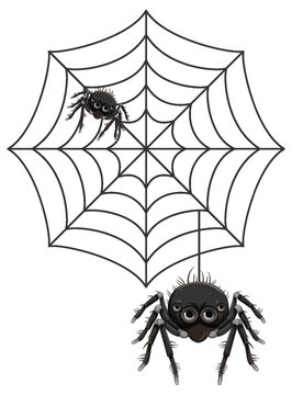 Spider on spider web cartoon isolated
