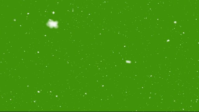 Snow season land on the ground tea tea black background.