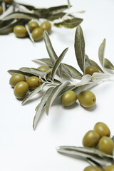 Olives and olive tree leaves on white background