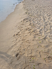 beach sand full of footprints