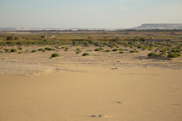 Panoramic stunning view of Wadi Rayan National Park, desert covered with wild plants, western desert, Faiyum, Egypt
