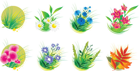 Hibiskus flower flat modern illustration. Vector illustration © Chakraborty