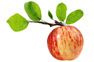 Red and Yellow Apple with Leaves - Fruit on Transparent PNG Background