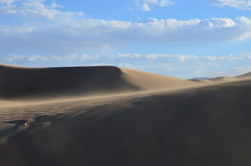 sand dunes in the desert