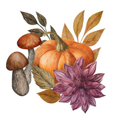 Watercolor autumn composition with pumpkins, Dahlia, leaves and mushrooms. Hand painted rustic isolated floral illustration for design, print, fabric or background, promotioms.