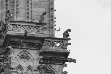Notre-Dame de Paris cathedral