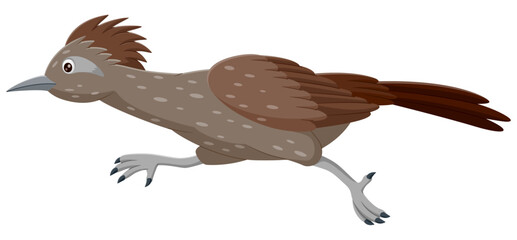 Cartoon roadrunner bird running. Vector illustration