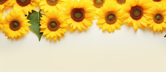 A background featuring sunflowers with copy space. The sunflowers are yellow and fresh, arranged in a flat lay, with a top view. can be used for autumn or summer concepts, and space available for