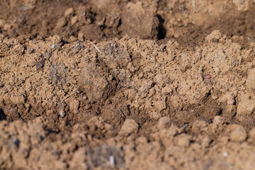 the plowed soil during preparation for sowing agricultural plants