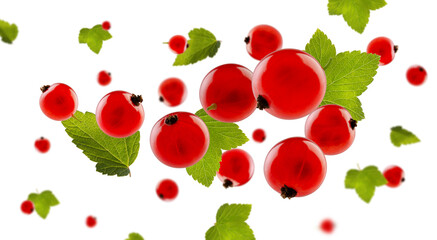Perfectly retouched red currant with leaves flies and levitates in space. Isolated on white.
