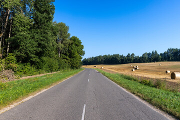 Paved road through the forest