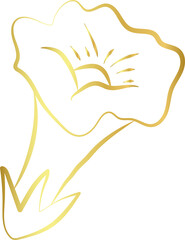 aesthetic gold flower line art element design