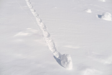 fluffy white snow with prints of animal footprints, beautiful winter landscape, snowfall in forest,...