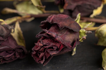 An old dry rose with crumbs from dry petals