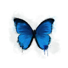 Blue Butterfly Dripping Illustration