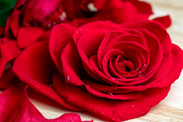 A beautiful red rose cut into pieces
