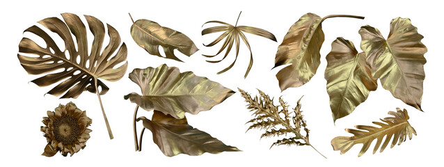 Golden tropical leaf PNG on transparent background Abstract monstera leaf decoration design, PNG	
