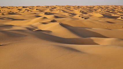 Sahara in Mauritania Africa 