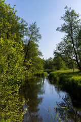Fototapeta na wymiar a small river in eastern Europe in the summer