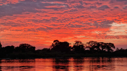 Red sky at sunset in Africa 