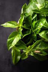 Fresh basil in a wooden bowl on a dark background close up. The concept of dietary and spicy herbs. Rustic style.