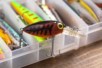 One plastic wobbler of a set of fishing lures