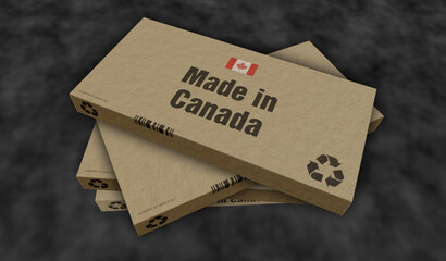 Made in Canada box pack 3d illustration