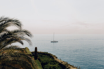 sunset over the sea with palm and yacht