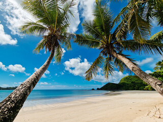 Exotic beach in Fiji 