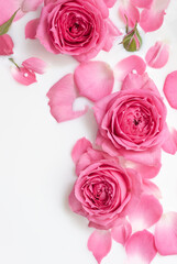 Pink roses and petals in milk bath. Vertical cosmetic poster, floral banner. Selective soft focus, copy space