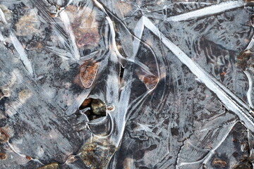 Eis auf einer Pfuetze