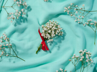 Gypsophilia branch with white flowers on a green background, top view