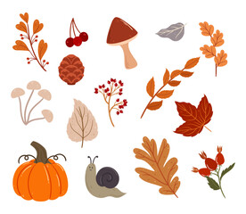 Autumn Elements Set, Collection Of Warm-toned Leaves, Pumpkin, And Snail. Mushroom, Berries And Cozy Items