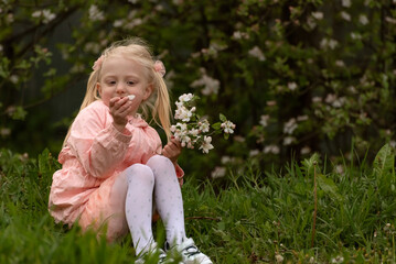 Preschooler girl wearing pink outfit sits on the grass near blooming tree and holds flower. Child outdoors in spring.
