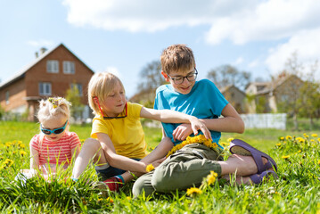 Children have fun in backyard of house on warm summer day. Brothers and sister sitting on the grass on in dandelions flower filed.