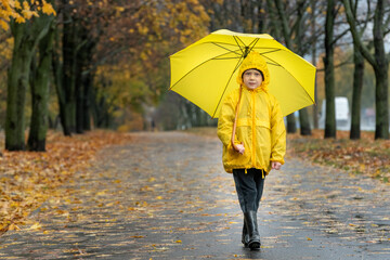 Boy in yellow raincoat, rubber boots and with an yellow umbrella is walking in the autumn park