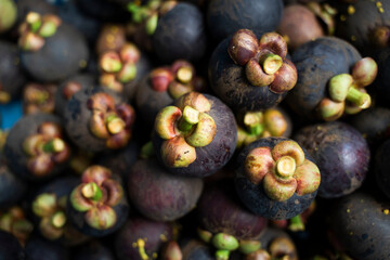 Closeup of Fresh ripe mangosteen fruits for sale in a supermarket and market at Thailand, queen of fruits, mangosteen is a fruit with white flesh, sweet and delicious.